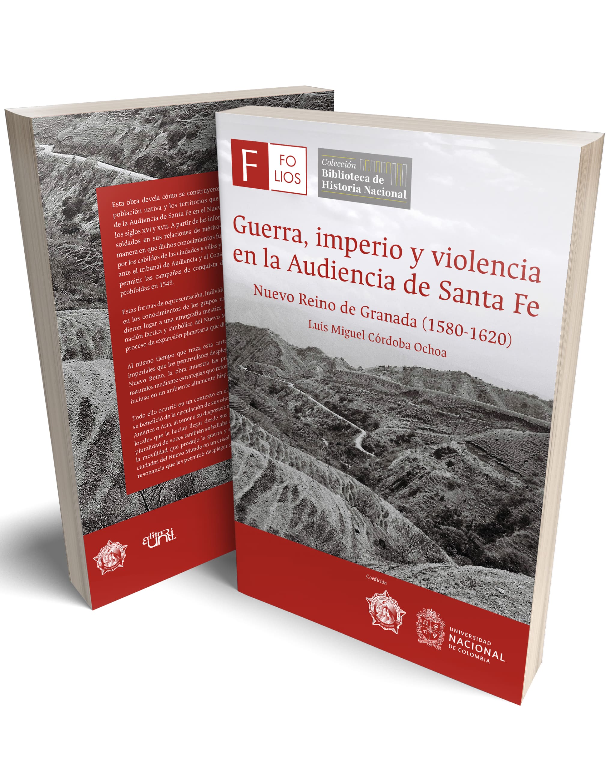 Guerra, imperio y violencia en la Audiencia de Santa Fe. Nuevo Reino de Granada (1580-1620)