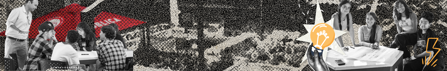 Banner VIE primeraentrega