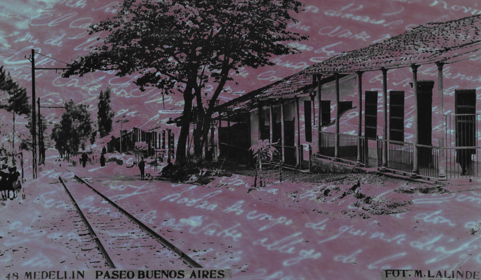 Imagen 4